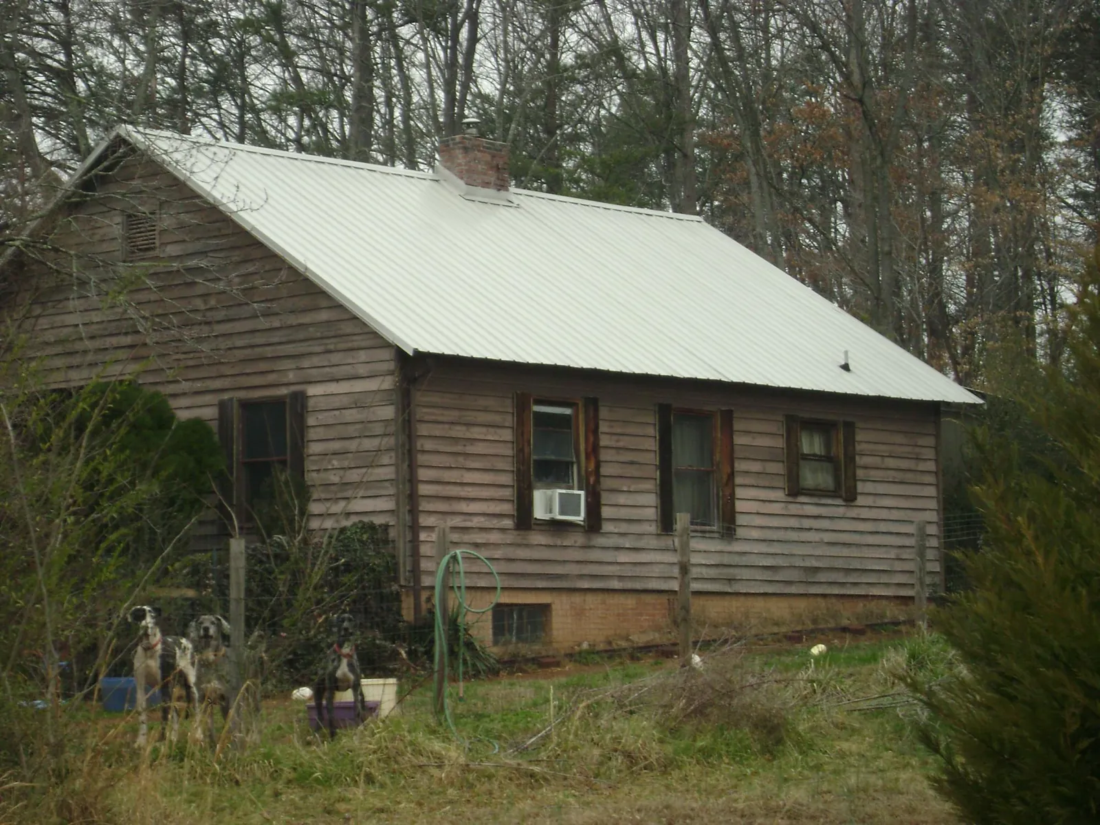 White metal roof on an old wood sided farmhouse, from a Asphalt Shingle Roof Repair job in Ecorse